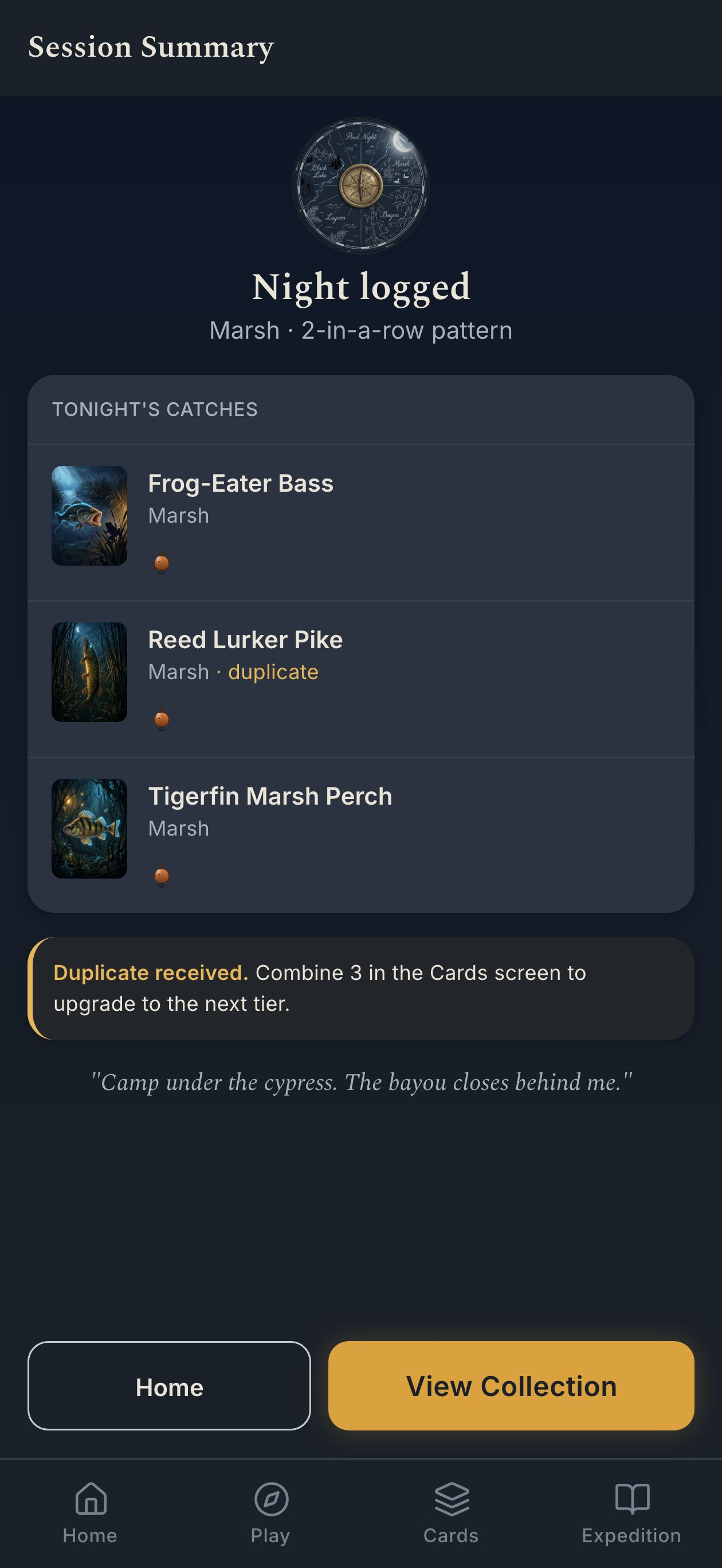 Play - Summary